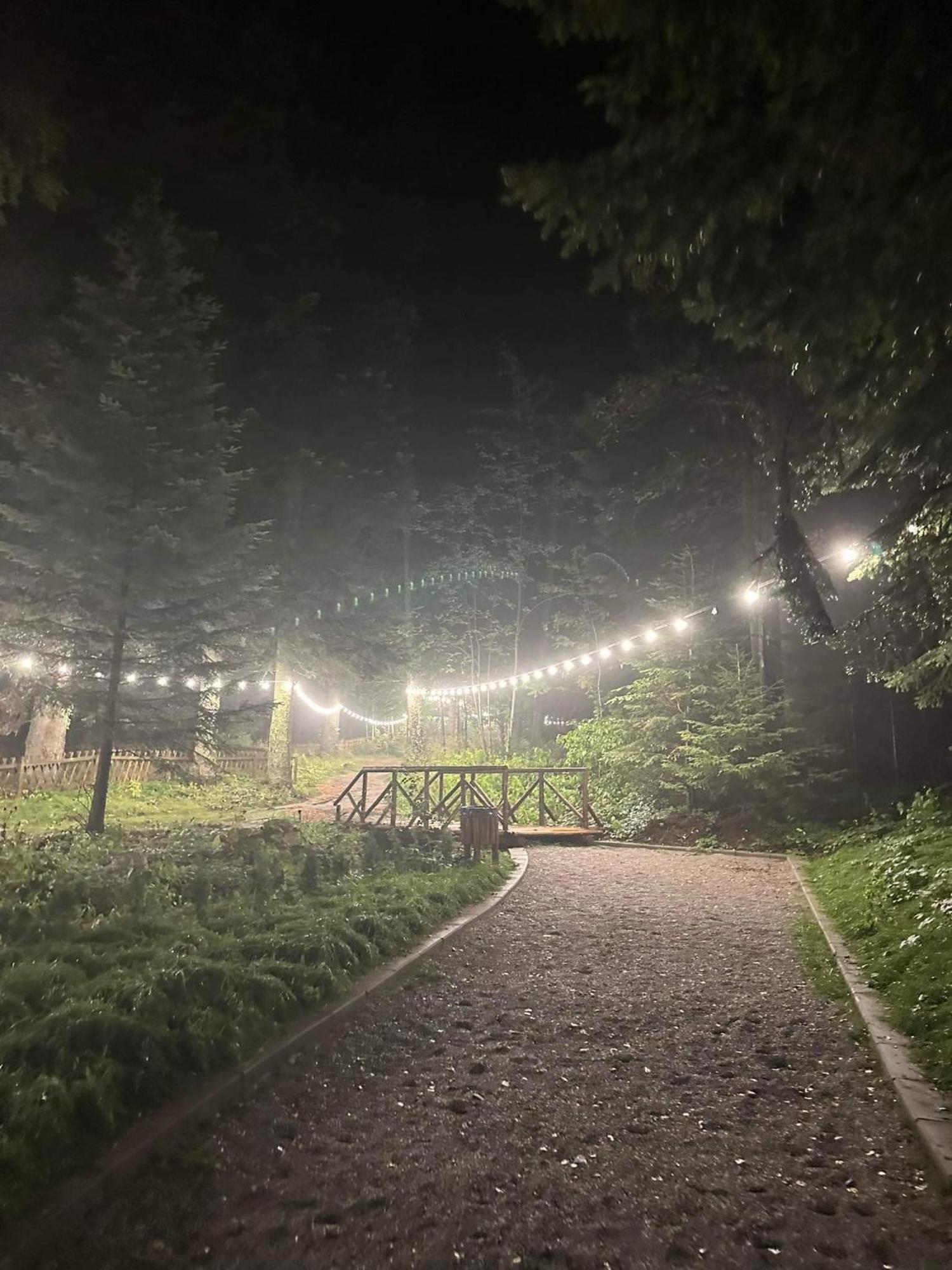 Cozy Riverside Pine Studio E5 Боровец Экстерьер фото